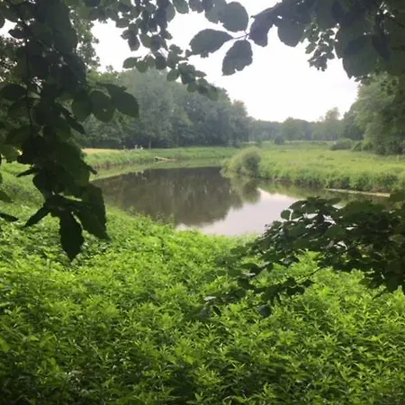 Apartment Markt 12 *